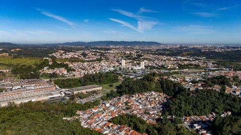 Image 16 - 923556