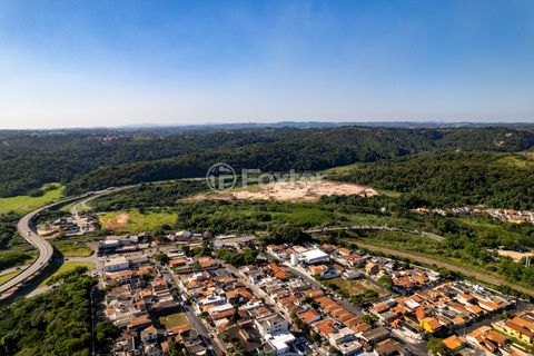 Image 10 - 923558