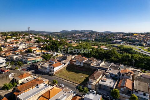 Image 16 - 923558