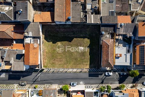 Image 4 - 923558
