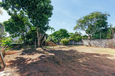 Image 3 - 923559