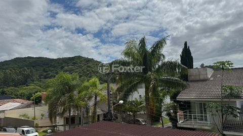 Image 11 - 923583