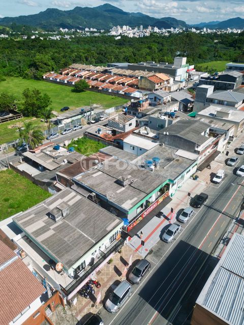 Image 6 - 923591