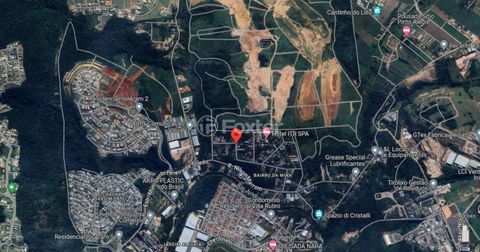 Image 8 - 923618