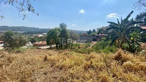 Image 4 - 923618