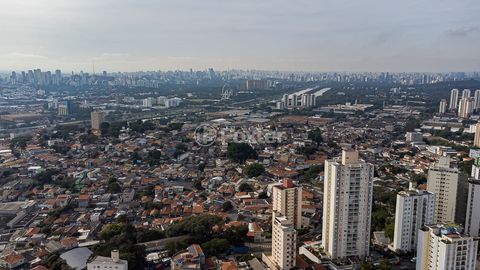 Image 13 - 923660