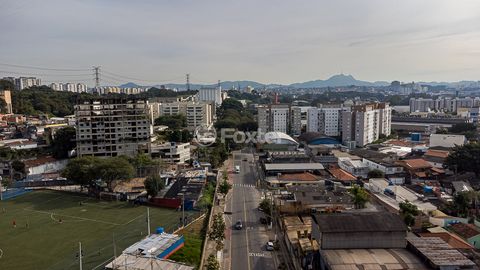 Image 4 - 923660