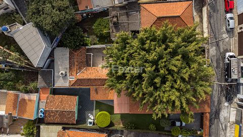 Image 15 - 923660