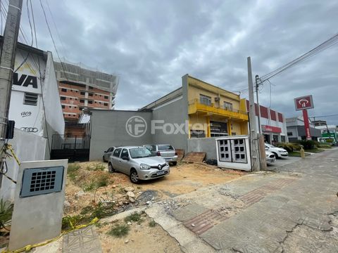 Image 3 - 923669