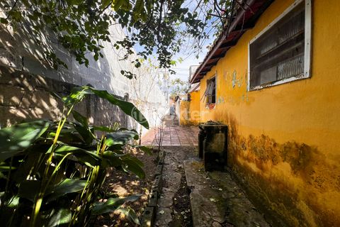 Image 19 - 923704