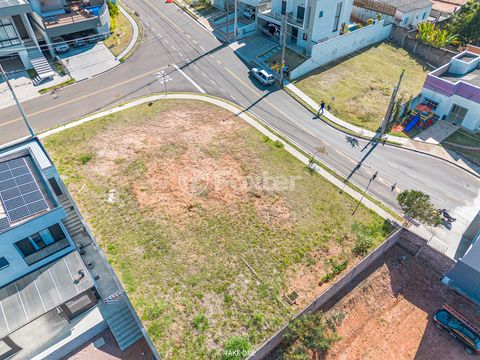 Image 10 - 923713