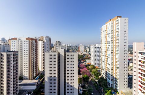 Image 16 - 923787