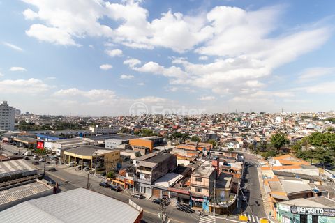 Image 15 - 923839
