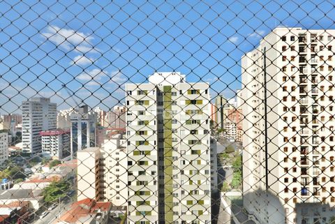 Image 8 - 923863