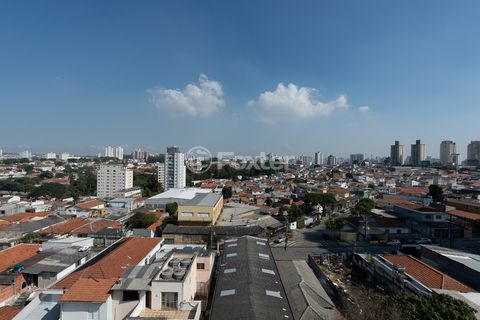 Image 15 - 923928