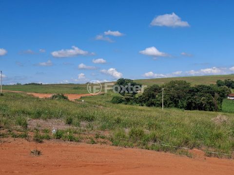 Image 7 - 923946