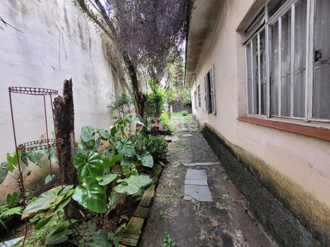 Image 3 - 923959