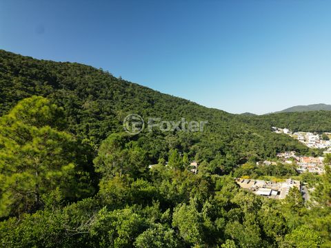 Image 9 - 924067