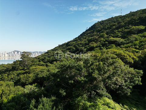 Image 10 - 924067