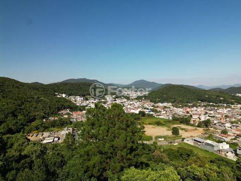 Image 7 - 924067