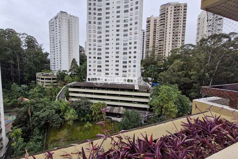 Image 19 - 924097