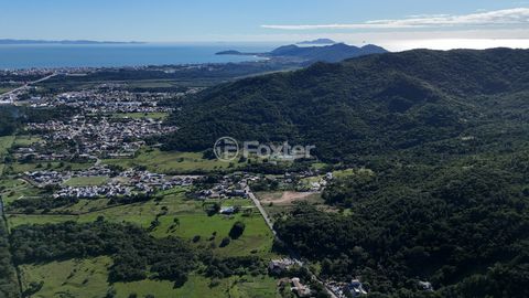 Image 9 - 924163