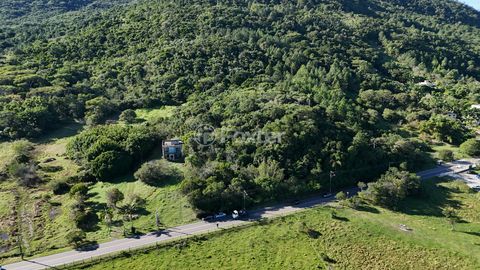 Image 6 - 924163