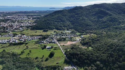 Image 8 - 924163