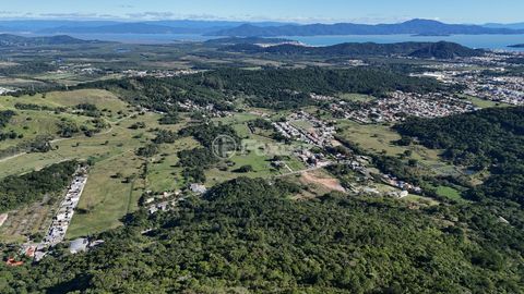 Image 4 - 924163
