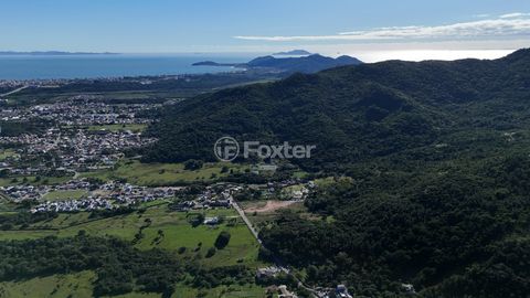 Image 11 - 924163