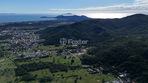 Image 12 - 924163