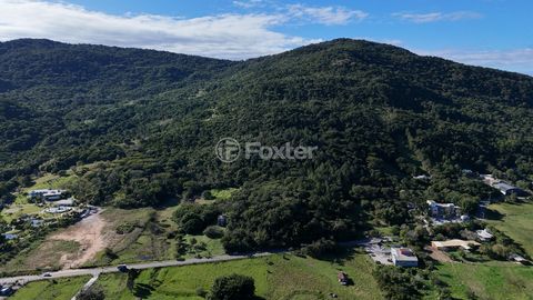 Image 5 - 924163