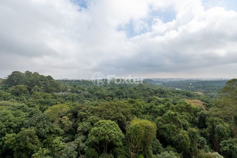 Image 19 - 924199