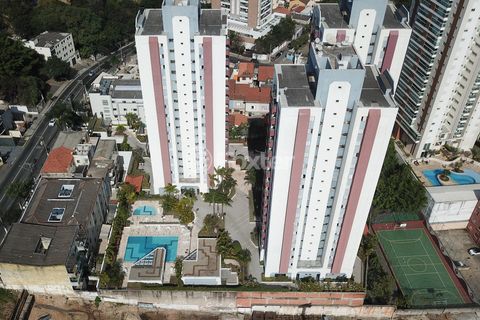 Image 18 - 924271