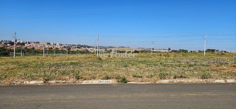Image 3 - 924368