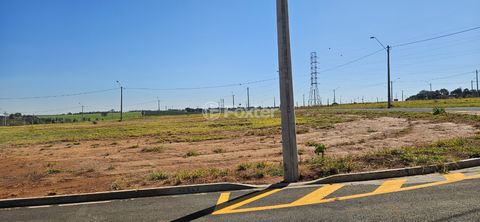 Image 9 - 924368