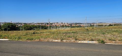 Image 4 - 924368