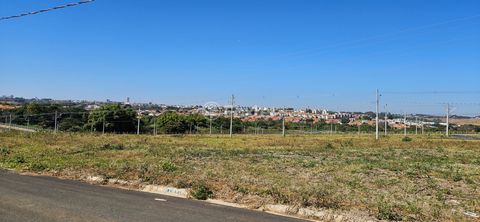 Image 8 - 924368