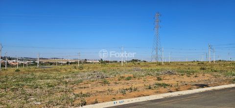 Image 8 - 924371