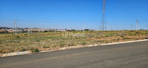 Image 6 - 924371