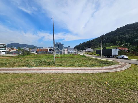 Image 6 - 924570