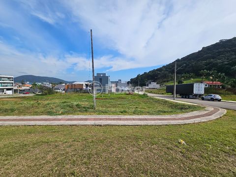 Image 7 - 924570