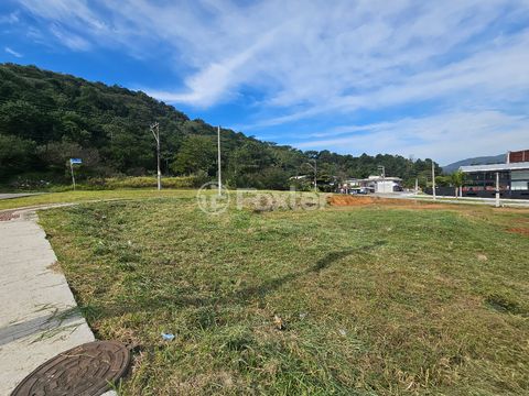 Image 8 - 924570