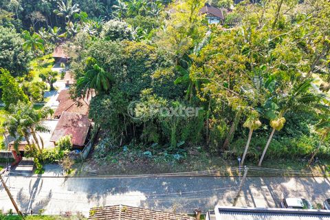 Image 7 - 924592