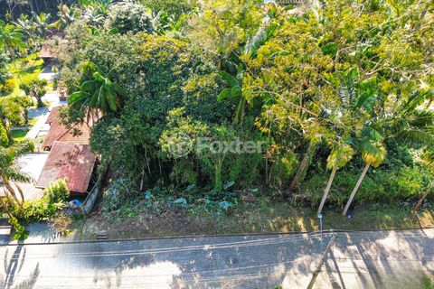 Image 5 - 924592