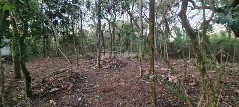 Image 3 - 924688