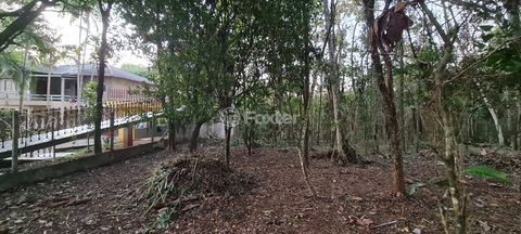 Image 5 - 924688