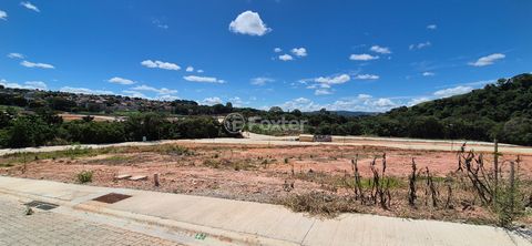 Image 3 - 924749