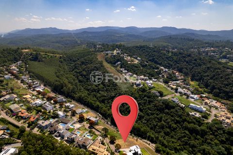 Image 9 - 924830