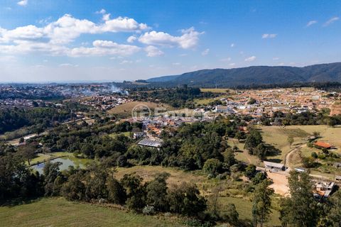 Image 8 - 924838